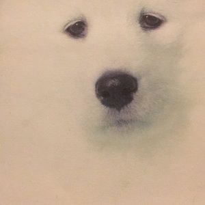 Meet your Posher, Vicki